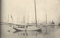 Herreshoff #186407es Qui Vive