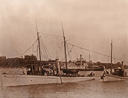 HMCo #83p Nereid