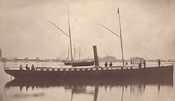 HMCo #100p Permelia [One Hundred]