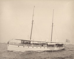 HMCo #104p Magnolia