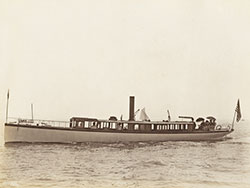 HMCo #120p Polly
