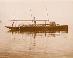 HMCo #174p Loon