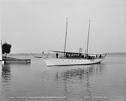 HMCo #193p Nina