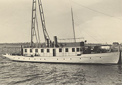 HMCo #215p Roamer