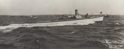 HMCo #243p Swiftsure