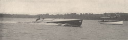 HMCo #245p X.P.D.N.C.
