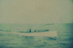 HMCo #250p Tuza [Seashell]