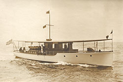HMCo #288p Helianthus I