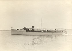 HMCo #329p Carola V
