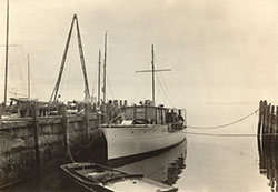 HMCo #380p Esmonda [Esmanda]