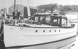 HMCo #389p Little Gull II