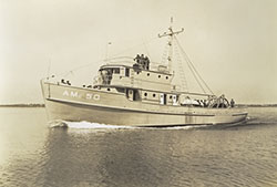 HMCo #411p Marabout Amc-50