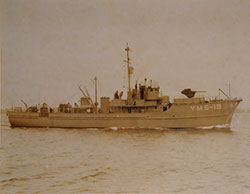 HMCo #416p YMs 19