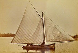 HMCo #403s Calypso