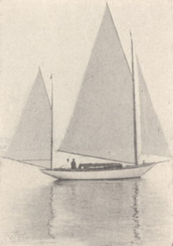 HMCo #408s Pelican [Pellican]