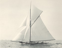 HMCo #414s Wasp