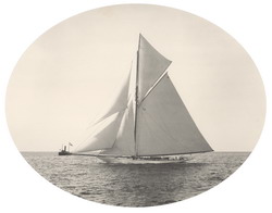 HMCo #435s Colonia