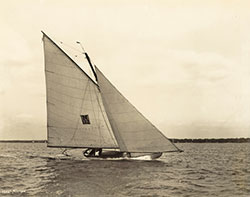 HMCo #446s Alerion II