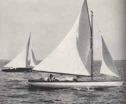 HMCo #455s Olita