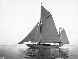HMCo #510s Petrel