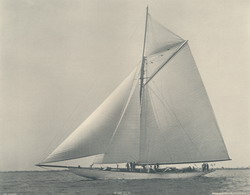 HMCo #529s Mineola