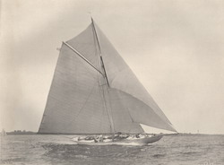 HMCo #531s Shark [Sirocco]
