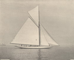 HMCo #534s Yankee