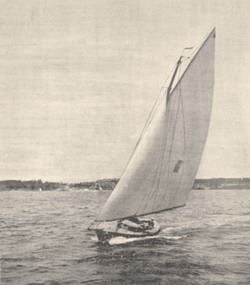 HMCo #549s Rogue