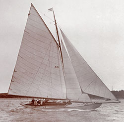 HMCo #563s Praxilla
