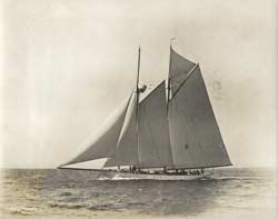 HMCo #590s Ingomar