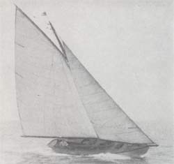 HMCo #616s Bambino