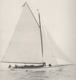 HMCo #617s Cock Robin II
