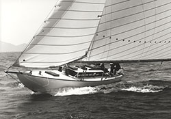 HMCo #636s Linnet