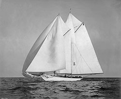 HMCo #658s Irolita II