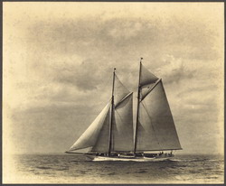 HMCo #772s Mariette