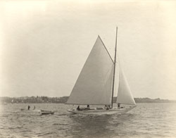 HMCo #773s Maisie