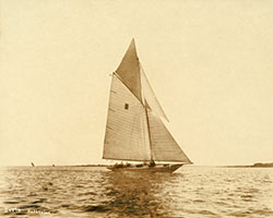 HMCo #783s Katharine [Katherine]