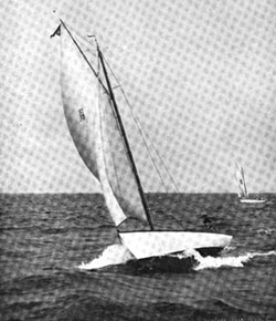 HMCo #807s Sardine