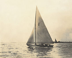 HMCo #835s Kajee