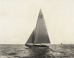 HMCo #845s Swallow