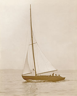 HMCo #849s Cima [Cimi]