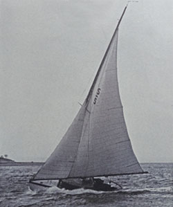 HMCo #873s Pandora