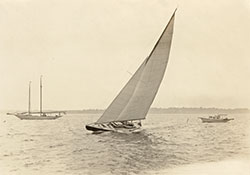 HMCo #892s Grayling