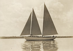 HMCo #934s Harlequin