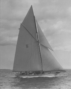 HMCo #955s Marilee