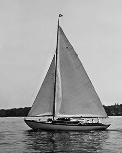 HMCo #1155s Wild Goose