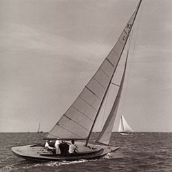 HMCo #1212s Tronda