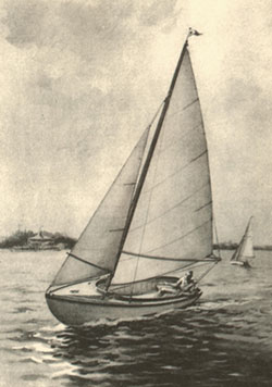HMCo #1240s [12 1/2 for W. Amory]